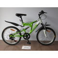 20 &quot;Stahlrahmen Mountainbike (2003)